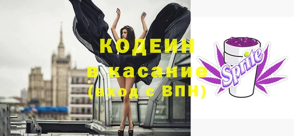 твердый Горняк