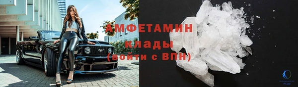 твердый Горняк