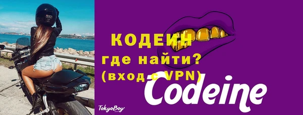 твердый Горняк