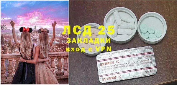 твердый Горняк