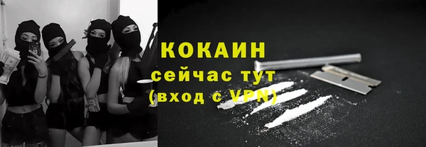 прущая мука Вяземский