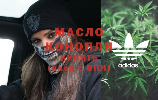 твердый Горняк