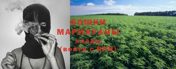 прущая мука Вяземский