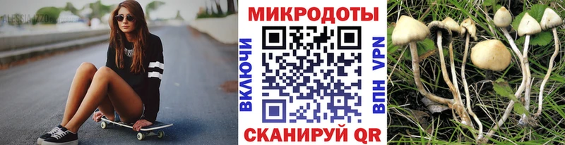 дарнет шоп  mega   Псилоцибиновые грибы прущие грибы  Пыть-Ях 