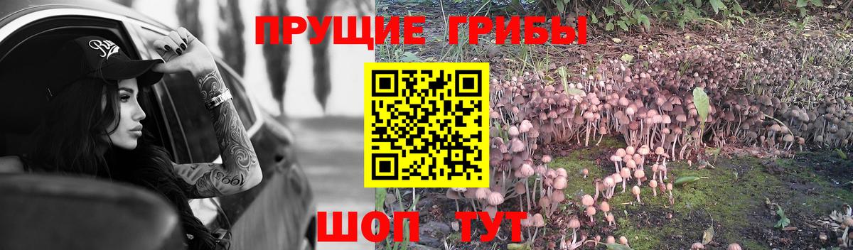 Галлюциногенные грибы ЛСД  Пыть-Ях  Галлюциногенные грибы GOLDEN TEACHER 