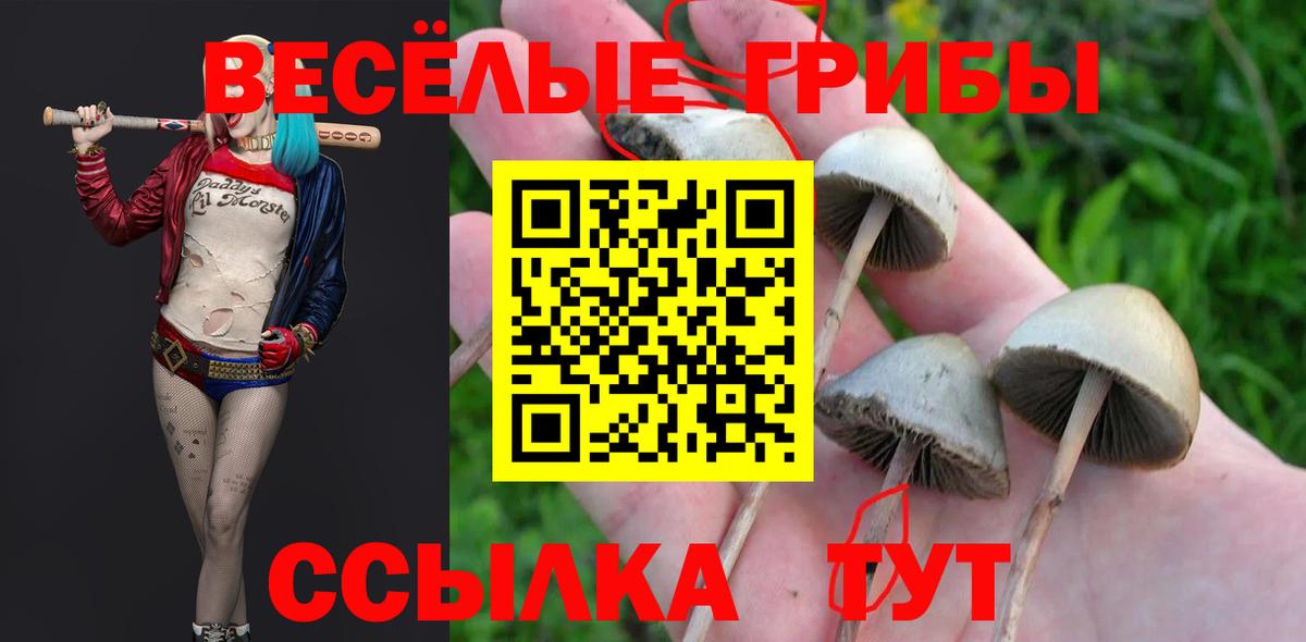 Пыть-Ях  Галлюциногенные грибы ЛСД  купить закладку  Вход с VPN 