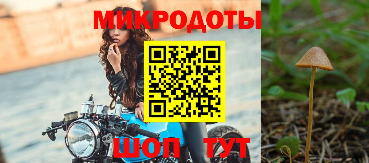 Галлюциногенные грибы Cubensis Пыть-Ях
